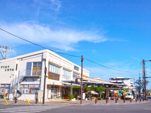 宮古島公設市場イメージ