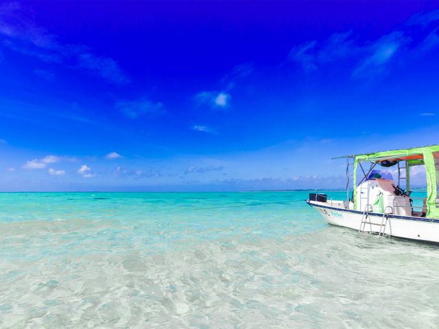 幻の島の楽しみ方イメージ