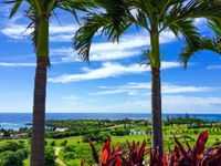 リゾート巡回シャトルバスの画像