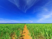 海側のお部屋からの眺望の画像