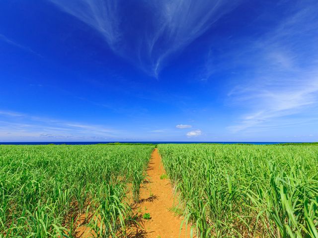 9月だから<br />
楽しめるツアー<br />
イメージ