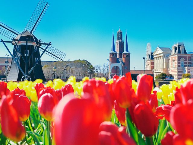 満開の花を愛でるイメージ