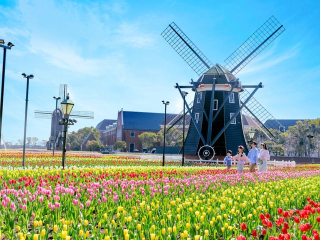 花の街<br />
ミッフィーセレブレーション ※2024年春イベントは終了いたしました。イメージ