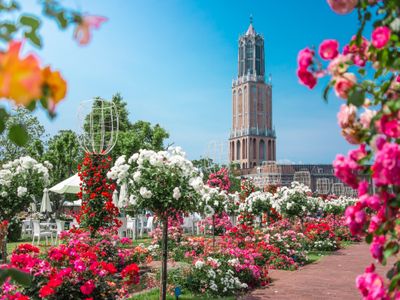 100万本のバラ祭