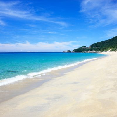 周遊観光バス「やくざる号」1日たっぷり満喫(昼食付)コースイメージ