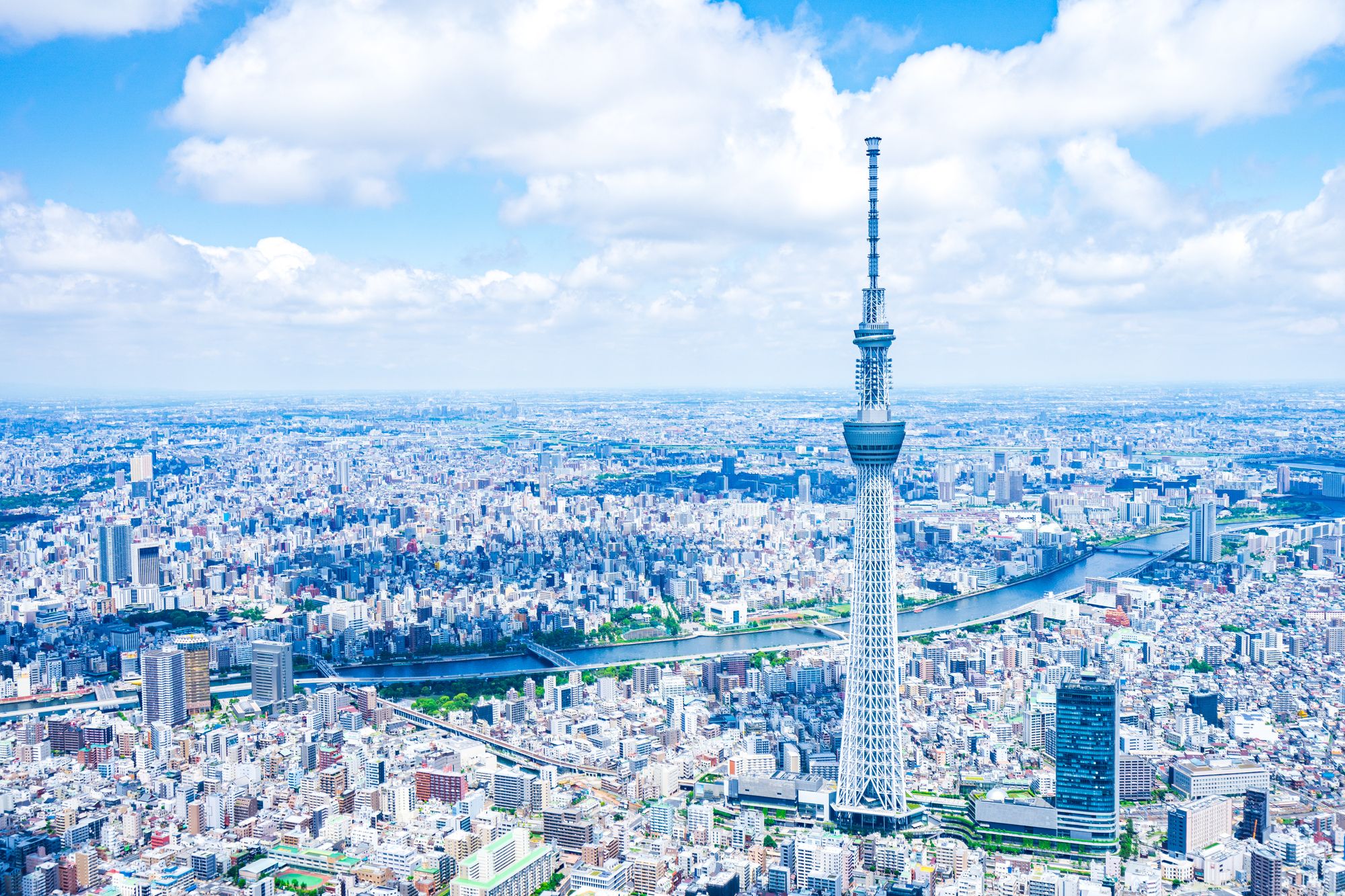 ブラックフライデー2025 東京旅行 大阪発｜東京旅行・東京ツアーなら