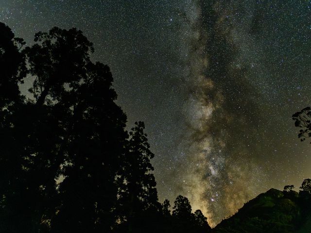 8月の屋久島ツアーは…イメージ