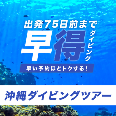 JALで行く!早期割引 ダイビングツアーイメージ
