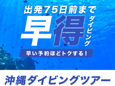 JALで行く！早期割引 ダイビングツアーイメージ