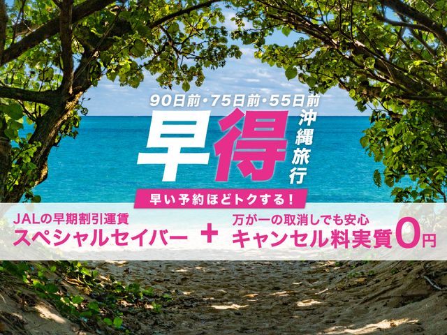 旅行予定日が先なら<br />
早割りプランイメージ
