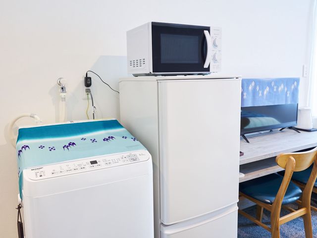 全室完備!洗濯機と電子レンジの画像