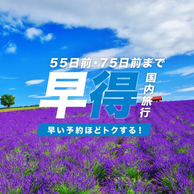 JALで行く北海道早割ツアー｜75日前・55日前予約が一番お得イメージ