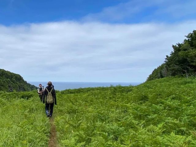 5. 知床ネイチャーガイドツアー体験イメージ