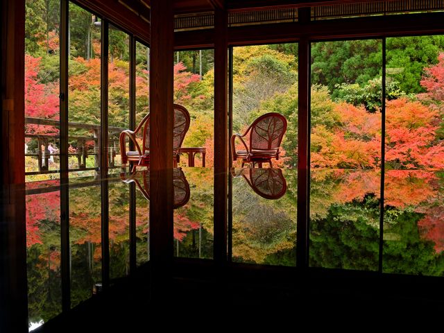 《11月とにかく安く行きたい》九州旅行フリープランイメージ