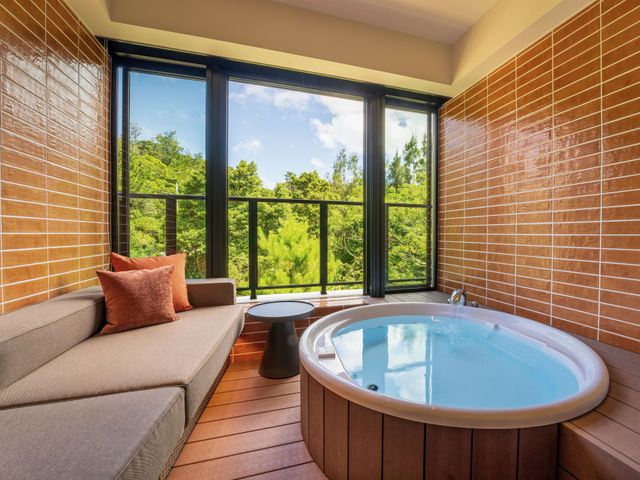 TWIN-LINE HOTEL YANBARU OKINAWA JAPAN アネックス棟（客室一例）