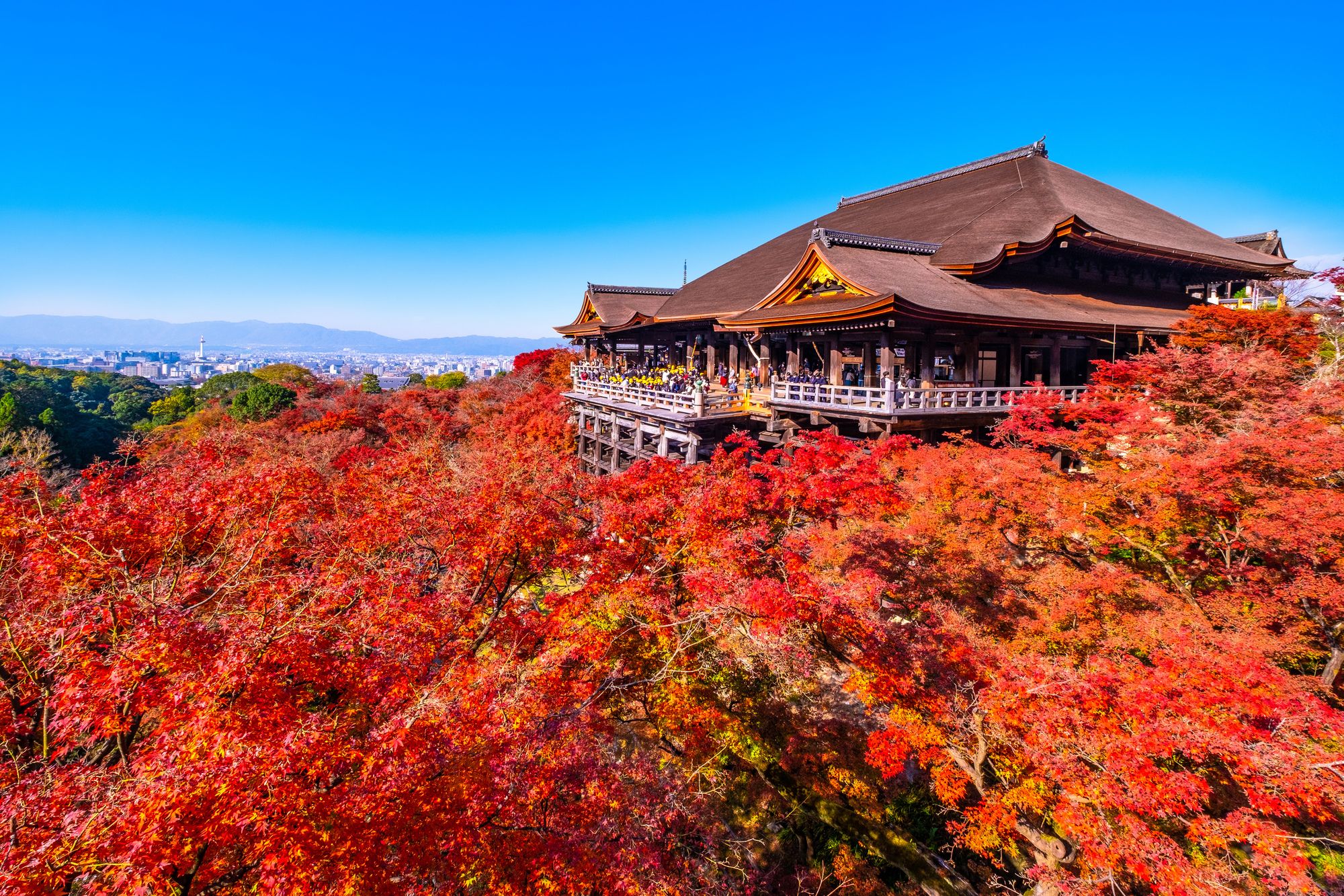 清水寺の紅葉
