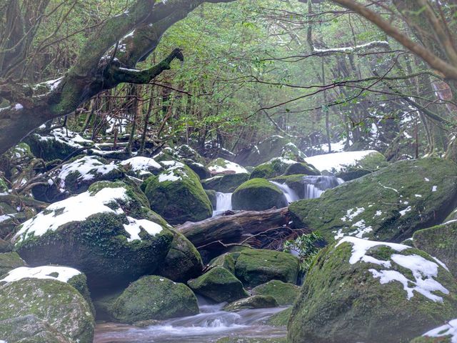 白谷雲水峡トレッキングツアー付イメージ