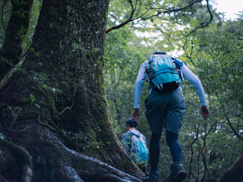 屋久島イメージ