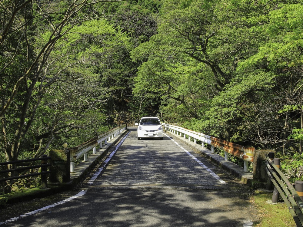 屋久島イメージ