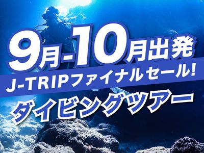 9～10月出発 J-TRIPファイナルセール ダイビングツアーイメージ