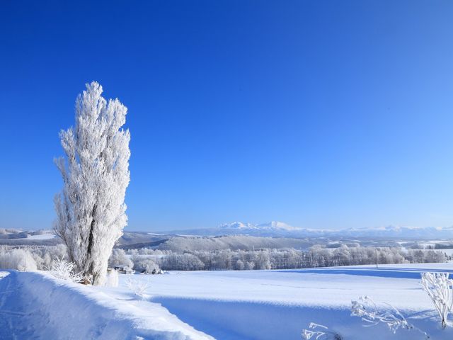北海道フリープランイメージ