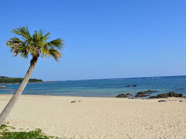 奄美ラッキー海の家 景色