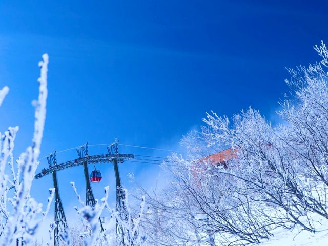 サホロリゾートスキー場イメージ