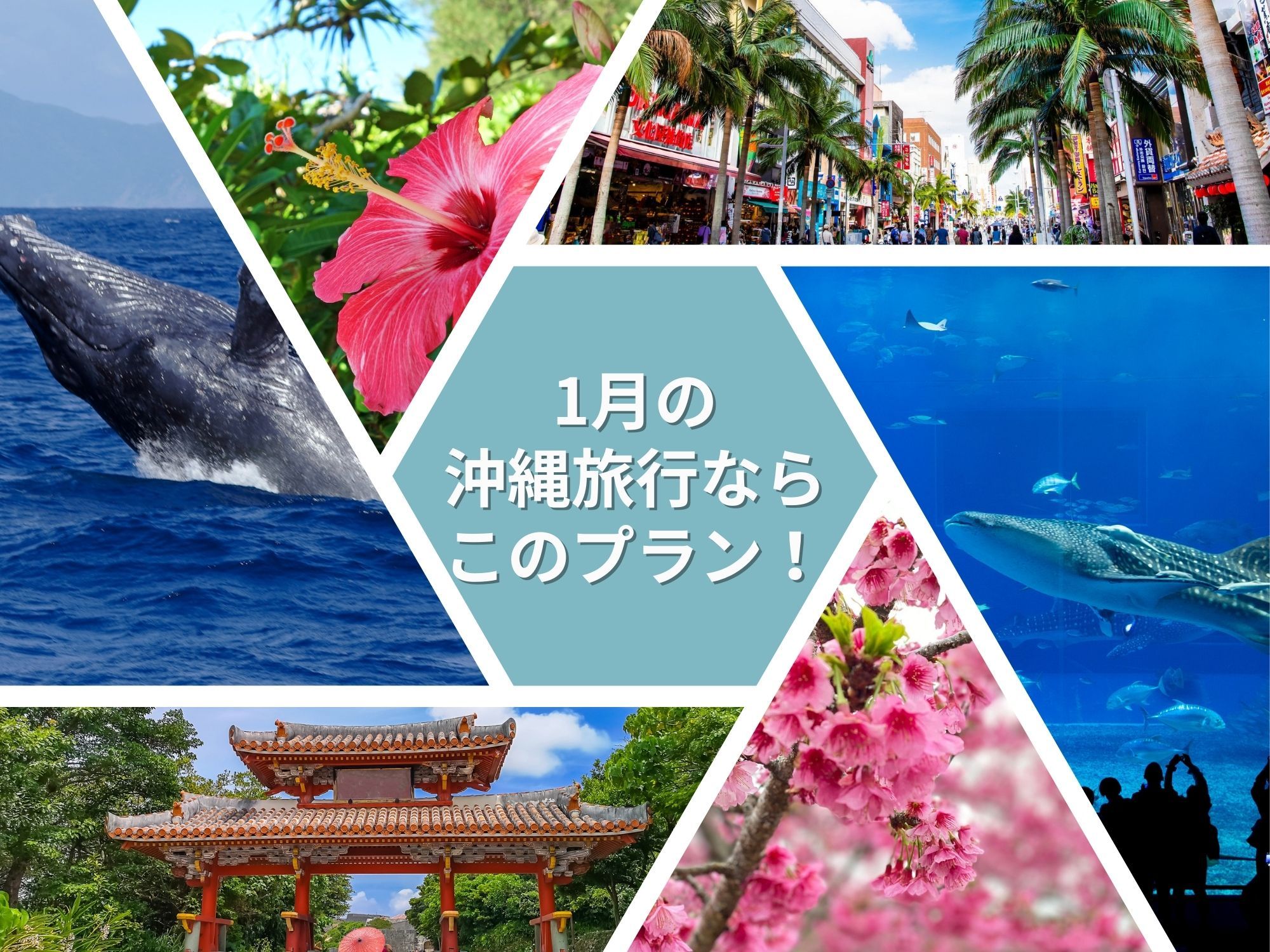 1月の沖縄旅行ならこのプラン！ 東京発｜沖縄旅行を予約するならJALで