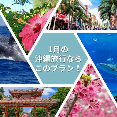 1月の沖縄旅行ならこのプラン!イメージ