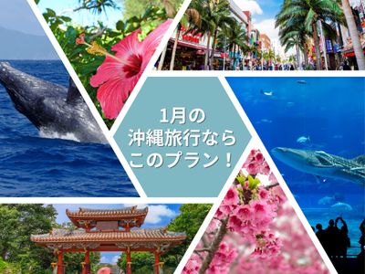 1月の沖縄旅行ならこのプラン!イメージ