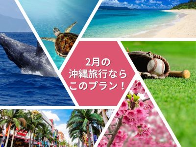2月の沖縄旅行ならこのプラン!イメージ