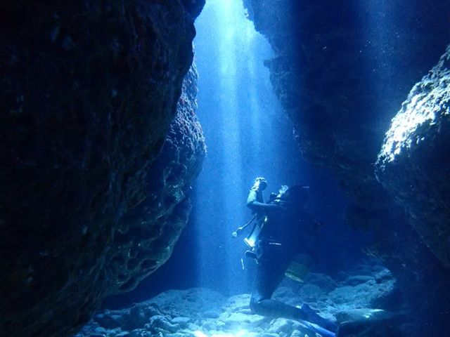 ダイナミックな外洋を満喫イメージ