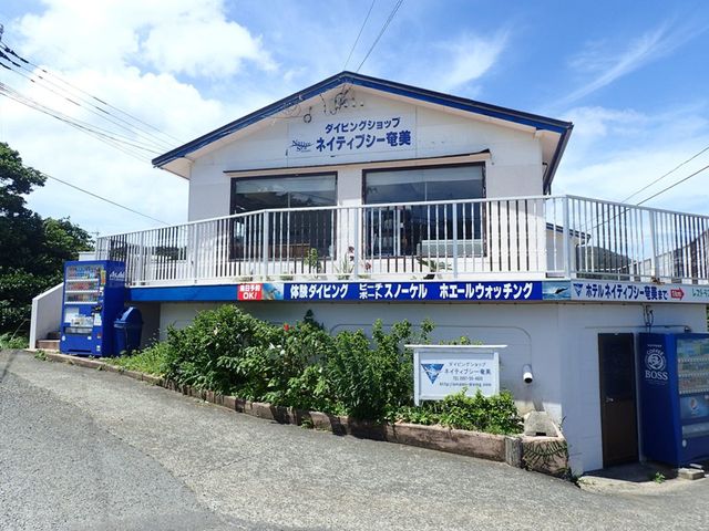 ネイティブシー奄美イメージ