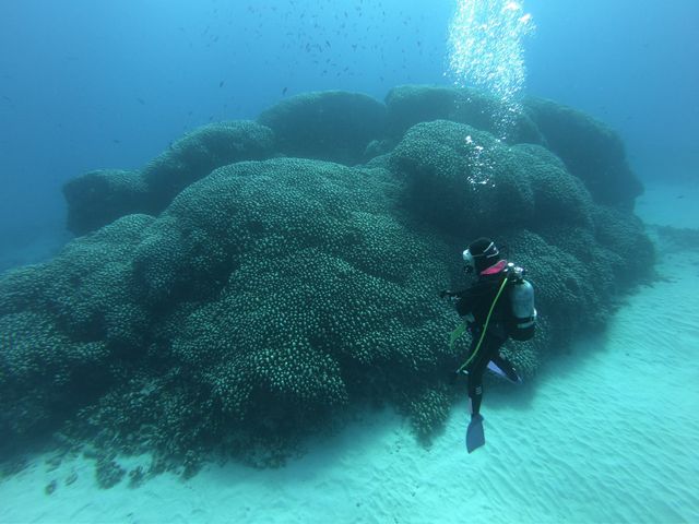 ボートから内湾を楽しむイメージ