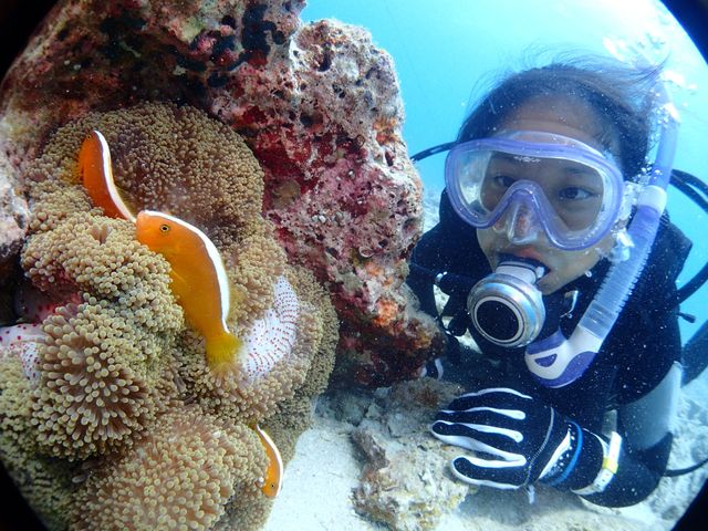 ネイティブシー奄美（体験ダイブ）イメージ