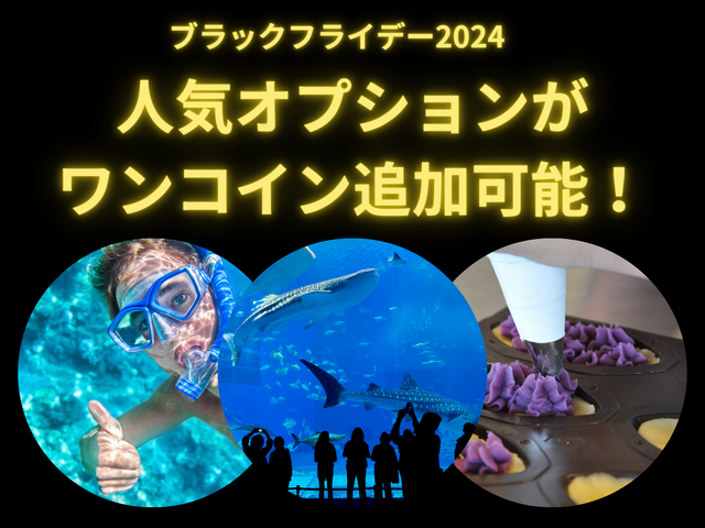 沖縄本島フリープラン《レンタカー付き》イメージ