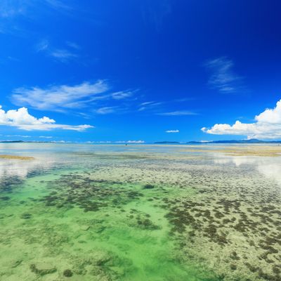 八重山諸島とはどこにある?旅行で行きたい観光スポットや詳しい場所を地図で紹介!イメージ