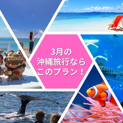 3月の沖縄旅行ならこのプラン！イメージ