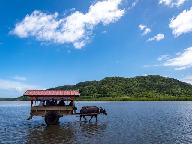 水牛車|由布島イメージ