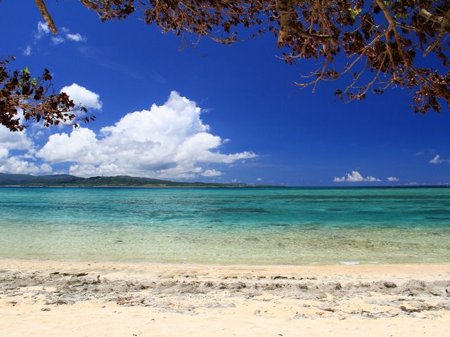 屋良浜|鳩間島イメージ