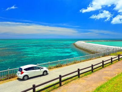 レンタカー付き