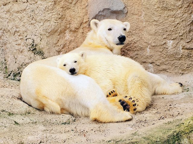 1日目イメージ