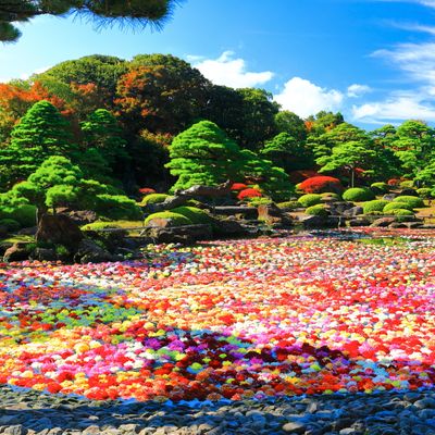 出雲空港 往復飛行機＋ホテル1泊イメージ