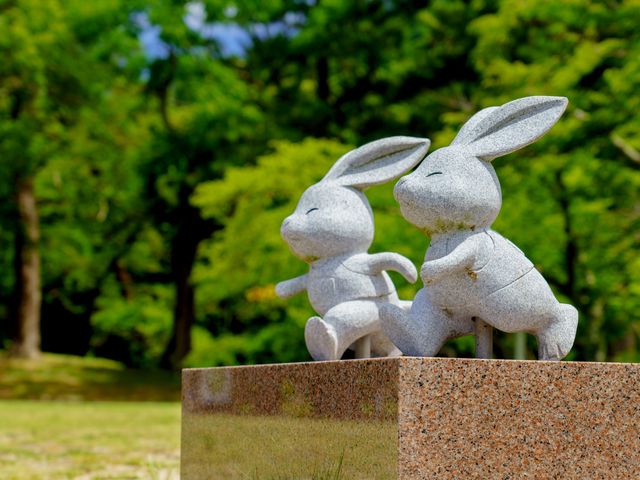 島根フリープランイメージ