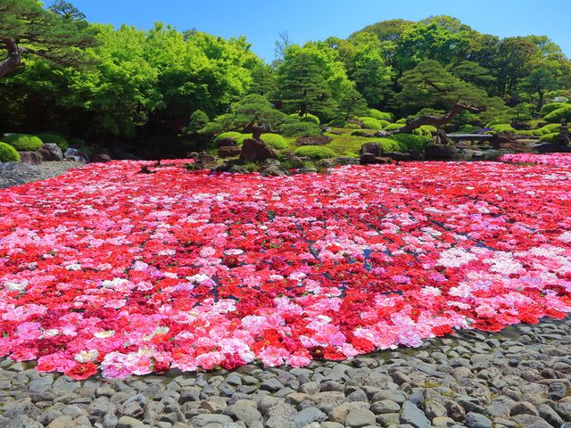 島根フリープランイメージ