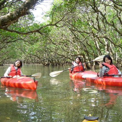 マングローブカヌー（ガイドなし・2時間）イメージ