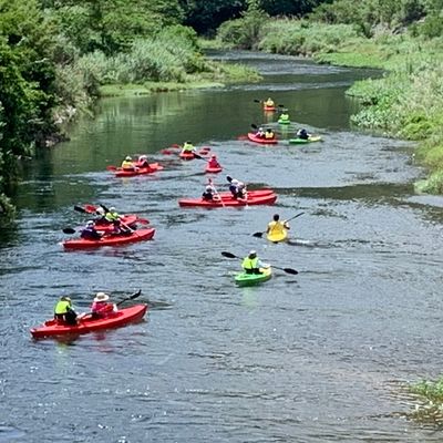 マングローブカヌー（ガイド付・1時間）イメージ
