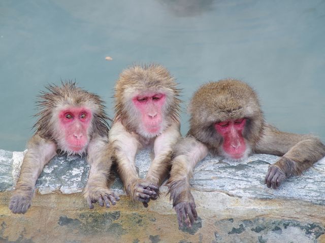 函館市熱帯植物園イメージ