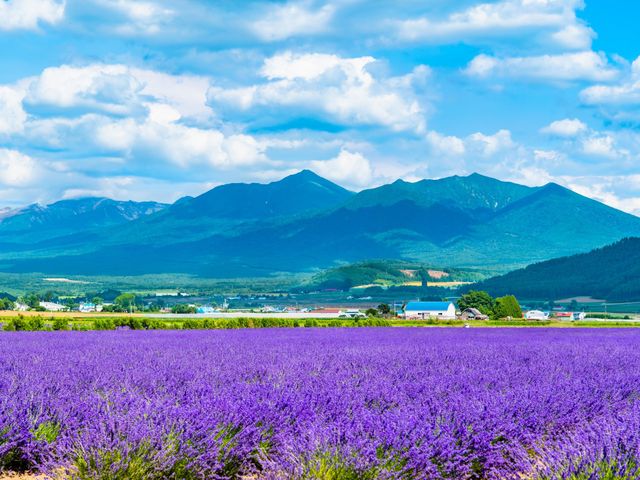 ５十勝岳温泉 <br />
- 温泉街で、温泉と美味しい食事を楽しめるイメージ