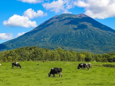 ニセコ・ルスツのホテルイメージ